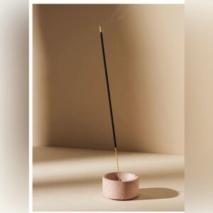 Anthropologie Pretti cool No problimo incense sticks (12 sticks)
